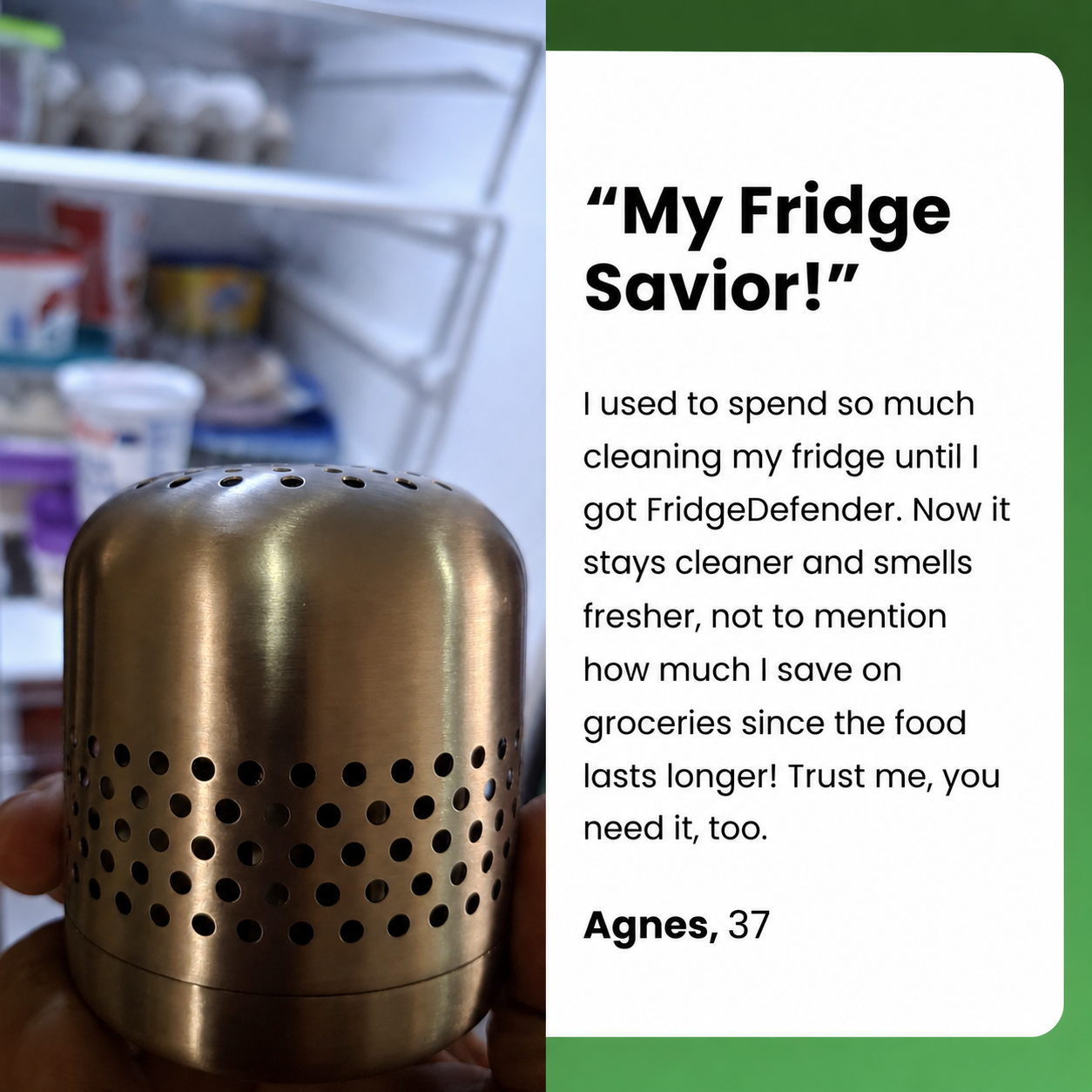 FridgeDefender® – Forget Bad Fridge Odors & Food Waste