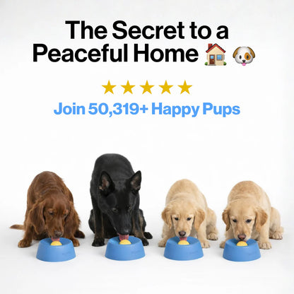 The Original LickyBowl ®